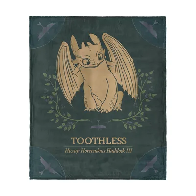 Golden Dragon Wings Illustration Blanket: Toothless and Hiccup Design