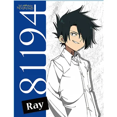 Ray Anime Character Portrait Blanket: The Promised Neverland Design