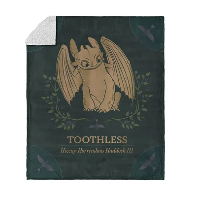 Night Fury Dragon Silhouette Blanket Celebrates Toothless and Hiccup