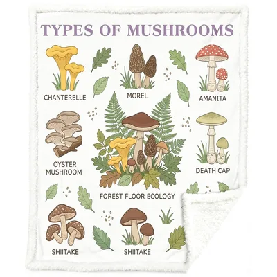 Mushroom Species Chart Blanket: Types of Mushrooms Illustration