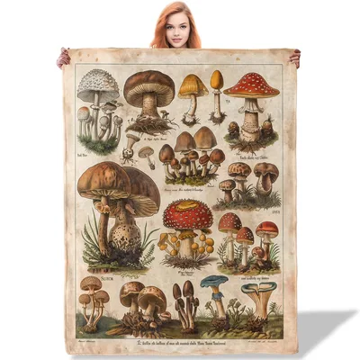 Vintage Mushroom Illustration Chart Blanket