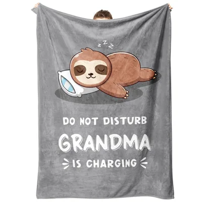 Grandma Sloth Blanket: Do Not Disturb Charging Design