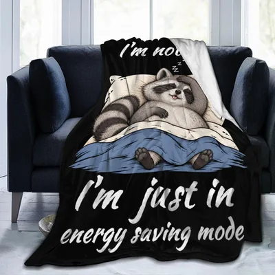 Sleepy Raccoon Funny Blanket: Energy Saving Mode Design for Cozy Naps