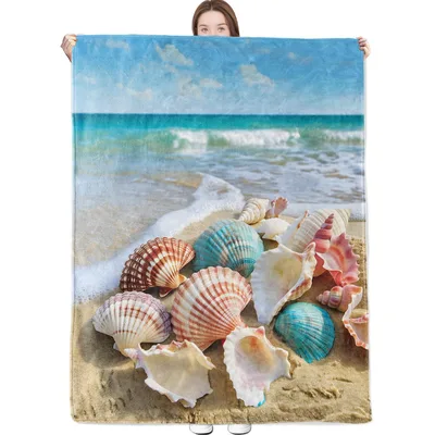 Seashells on Sandy Beach Blanket Coastal Shell Scene