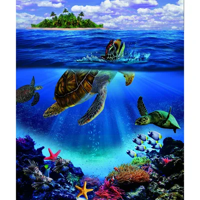 Sea Turtles Underwater Reef Blanket: A Vibrant Ocean Scene