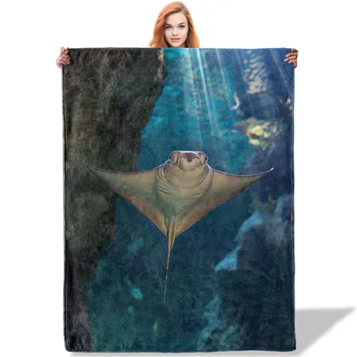 Graceful Stingray Underwater Blanket
