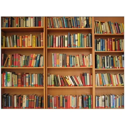 Bookshelves Full of Colorful Blanket: A Library Lovers Throw