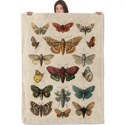 Vintage Butterflies and Moths Blanket: Retro Insect Illustration Throw