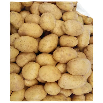 Potato Food Print Blanket: A Full-Pile Tuber Design for Sofa and Bed