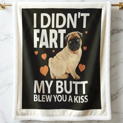 I Didn't Fart Pug Blanket: Sarcastic Humor for Dog Lovers