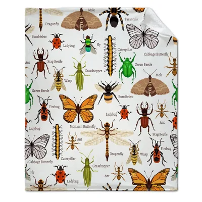 Insects Butterflies Dragonflies Pattern Blanket for Nature Lovers