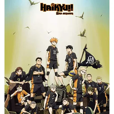 Volleyball Team Anime Group Blanket - Haikyuu Season Art